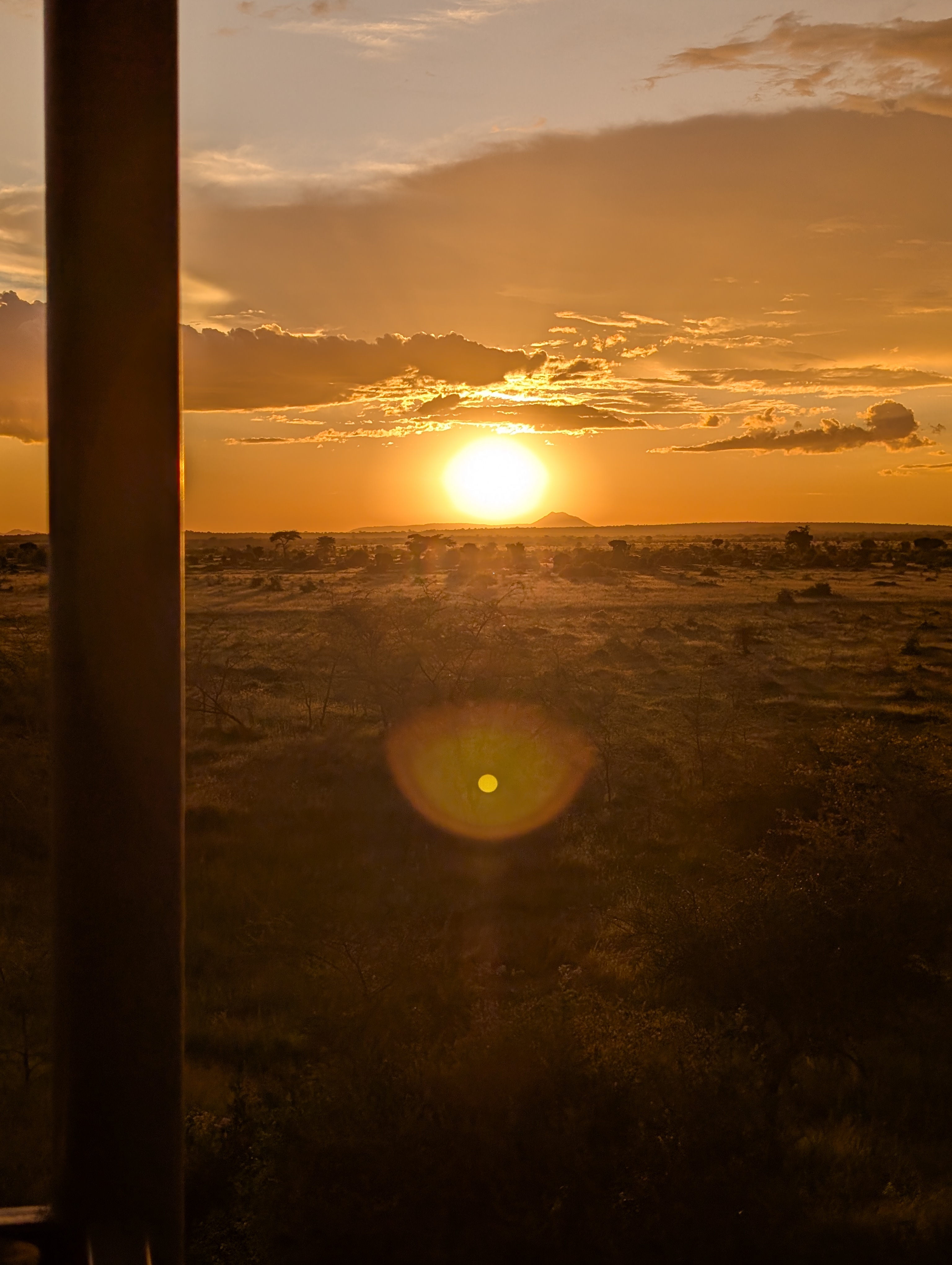 Serengeti