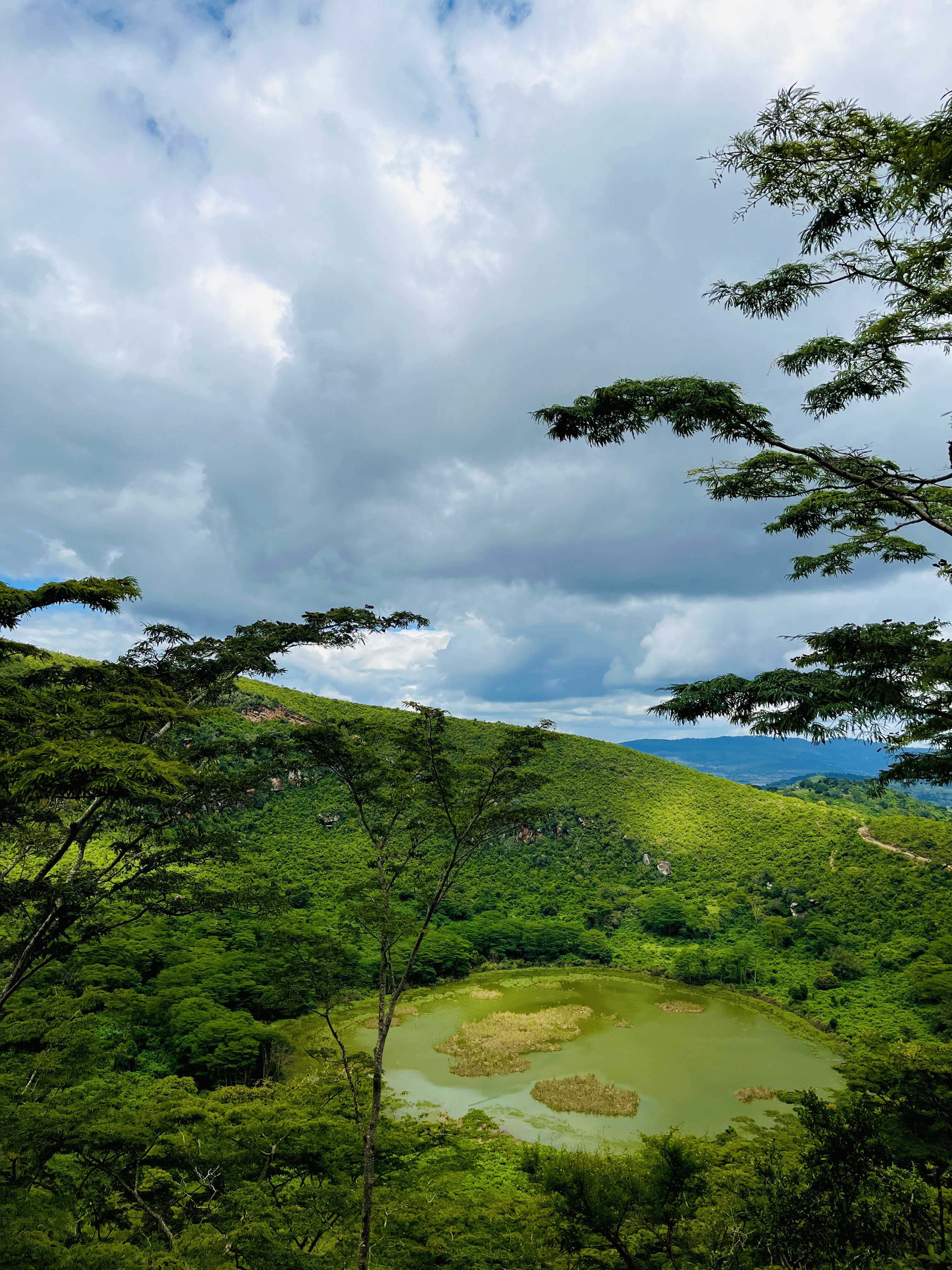 Ngorongoro